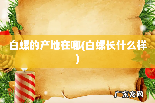 白螺长什么样 白螺的产地在哪