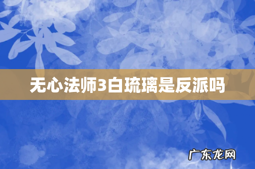 无心法师3白琉璃是反派吗