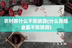 什么养殖业最不愁销路 农村养什么不愁销路