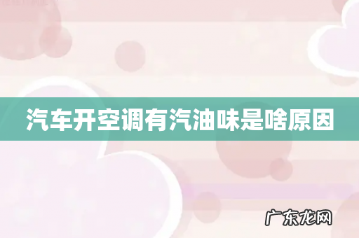 汽车开空调有汽油味是啥原因