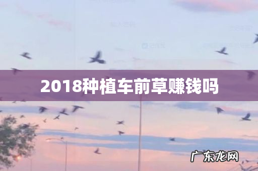 2018种植车前草赚钱吗