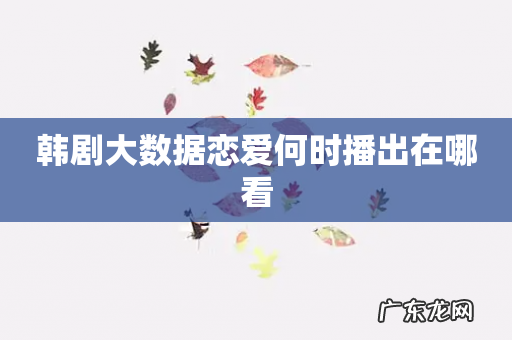 韩剧大数据恋爱何时播出在哪看