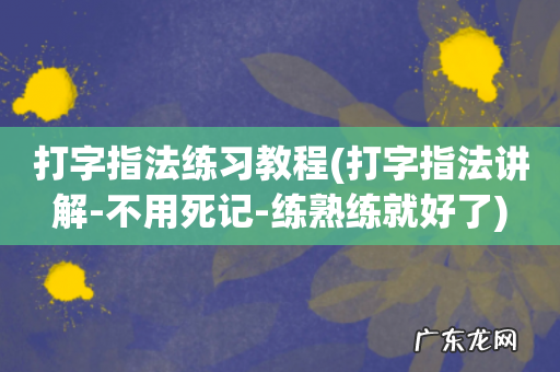 打字指法讲解-不用死记-练熟练就好了 打字指法练习教程