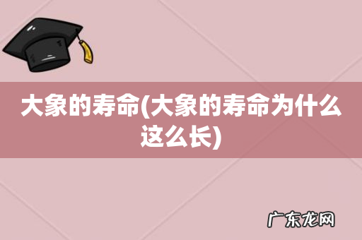 大象的寿命为什么这么长 大象的寿命