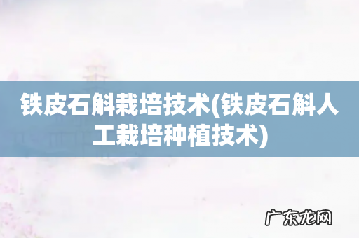 铁皮石斛人工栽培种植技术 铁皮石斛栽培技术