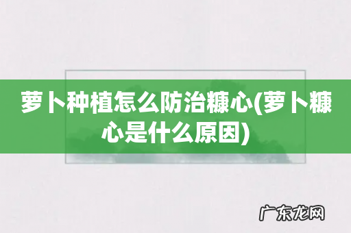 萝卜糠心是什么原因 萝卜种植怎么防治糠心