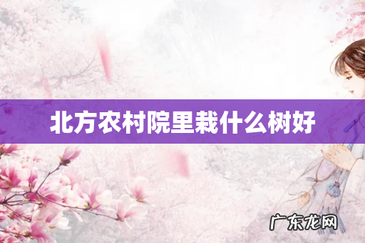 北方农村院里栽什么树好