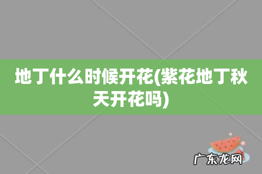 紫花地丁秋天开花吗 地丁什么时候开花