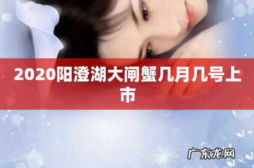 2020阳澄湖大闸蟹几月几号上市