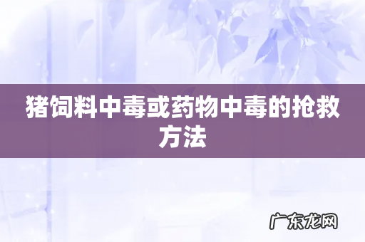 猪饲料中毒或药物中毒的抢救方法