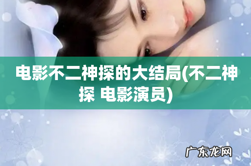 不二神探 电影演员 电影不二神探的大结局