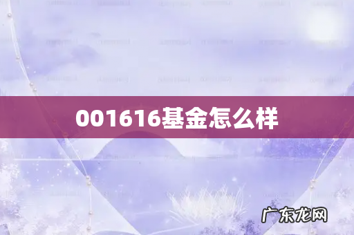 001616基金怎么样