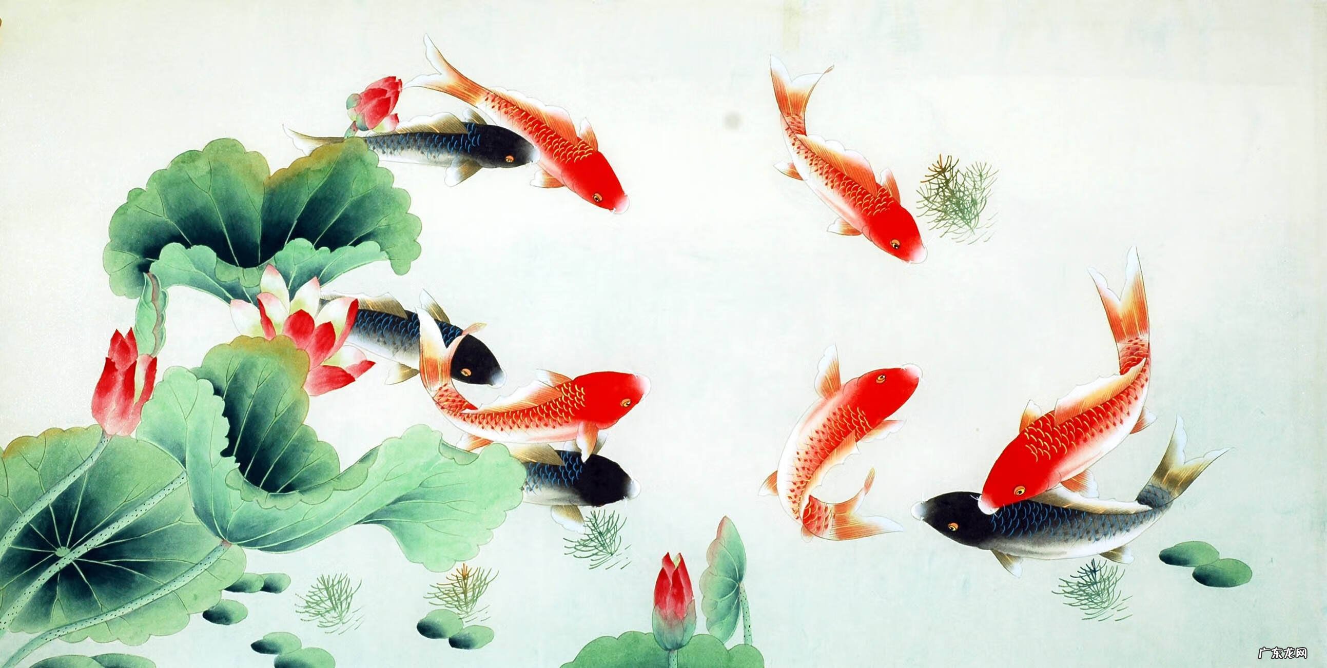 哪些人不适合学风水 风水学入门王黛林