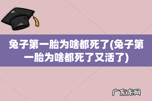 兔子第一胎为啥都死了又活了 兔子第一胎为啥都死了