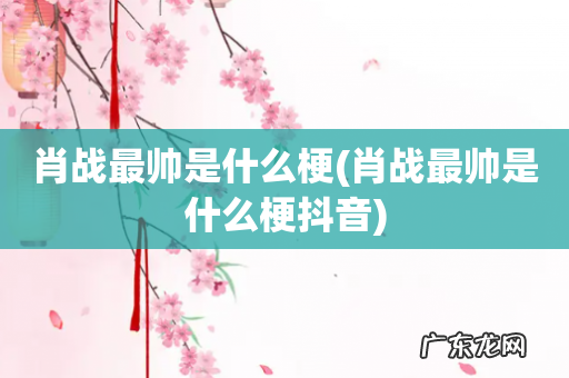 肖战最帅是什么梗抖音 肖战最帅是什么梗