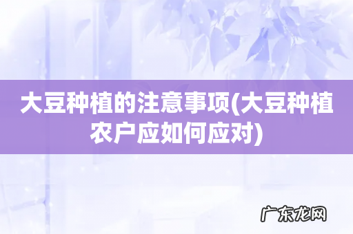 大豆种植农户应如何应对 大豆种植的注意事项