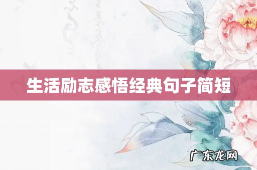 生活励志感悟经典句子简短