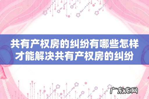 共有产权房的纠纷有哪些怎样才能解决共有产权房的纠纷
