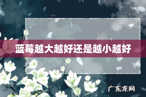 蓝莓越大越好还是越小越好