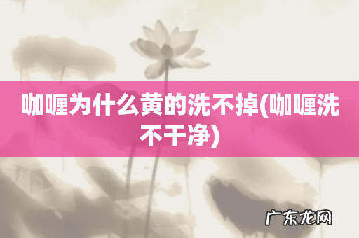 咖喱洗不干净 咖喱为什么黄的洗不掉