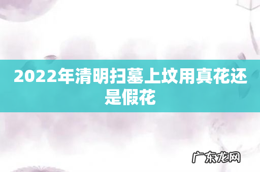 2022年清明扫墓上坟用真花还是假花