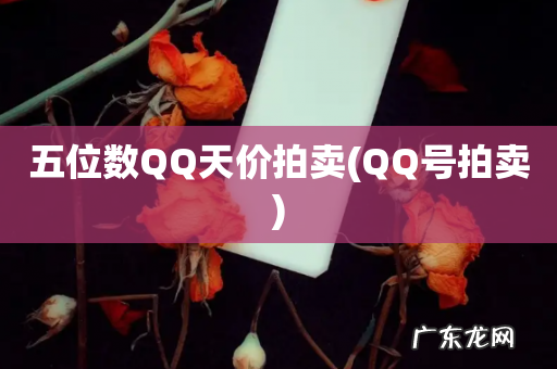 QQ号拍卖 五位数QQ天价拍卖