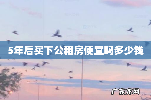 5年后买下公租房便宜吗多少钱
