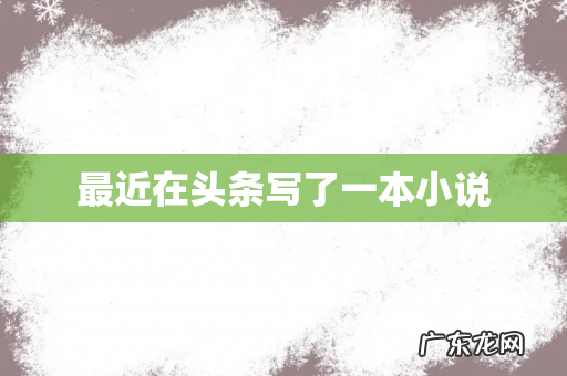 最近在头条写了一本小说