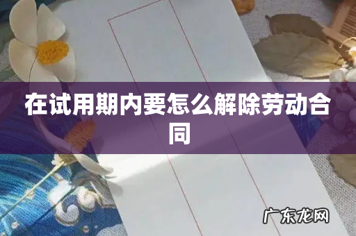 在试用期内要怎么解除劳动合同