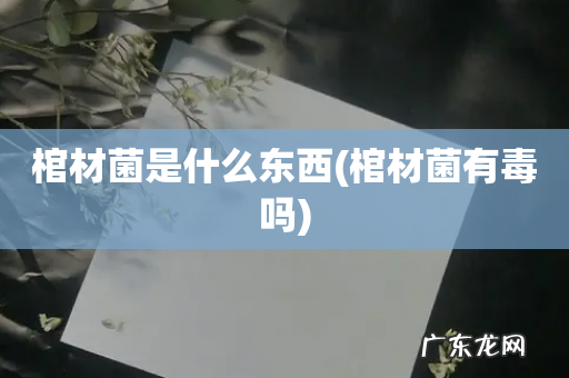 棺材菌有毒吗 棺材菌是什么东西