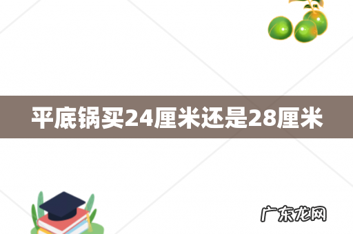 平底锅买24厘米还是28厘米