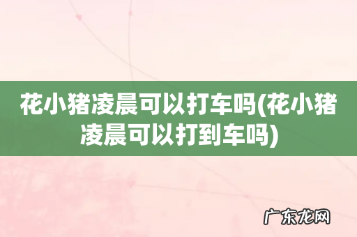花小猪凌晨可以打到车吗 花小猪凌晨可以打车吗