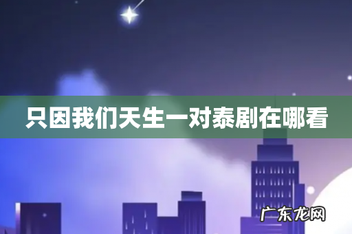 只因我们天生一对泰剧在哪看