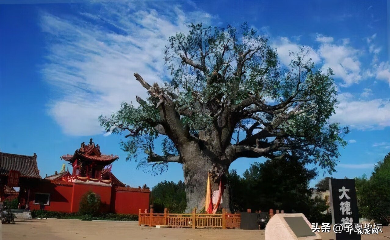 风水涣的变卦是什么卦 风水涣卦什么意思