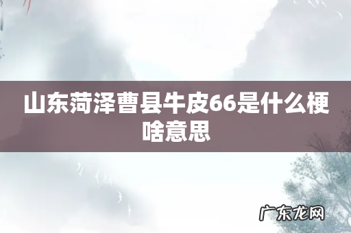 山东菏泽曹县牛皮66是什么梗啥意思
