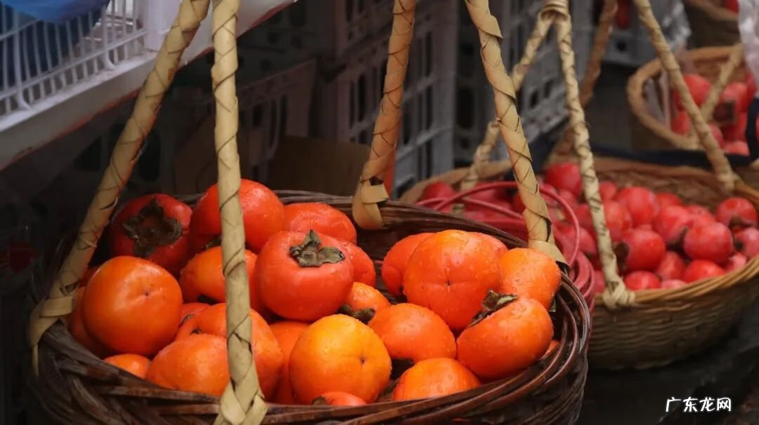 吃柿子10大禁忌 柿子的功效与作用禁忌