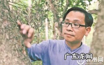 阴阳罗盘图片 过路阴阳罗盘