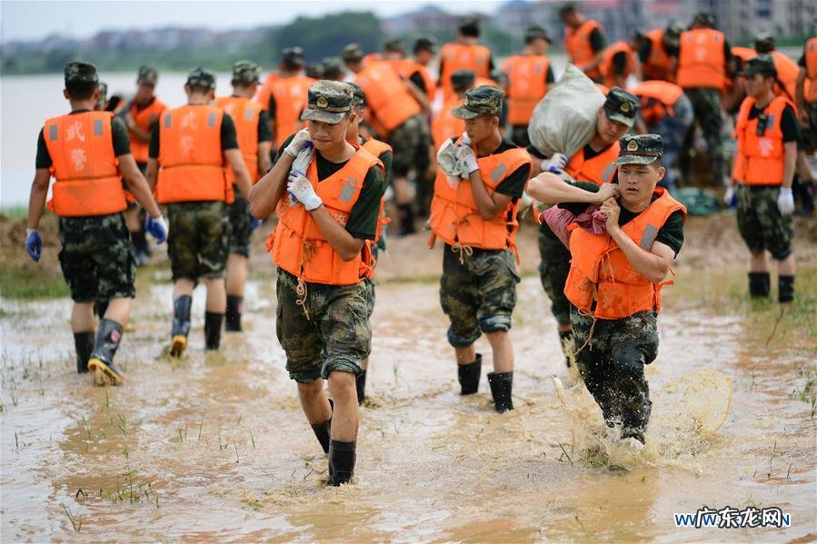 levelup论坛 levelupcn