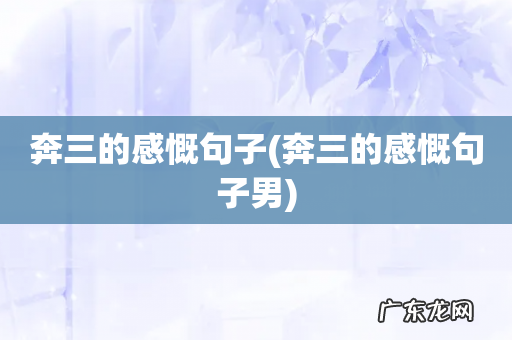 奔三的感慨句子男 奔三的感慨句子