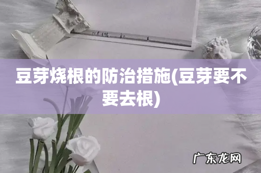 豆芽要不要去根 豆芽烧根的防治措施