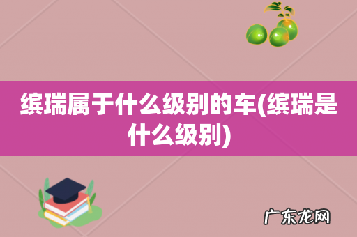 缤瑞是什么级别 缤瑞属于什么级别的车