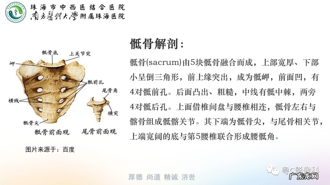 后侧体位展示 后侧位体视频