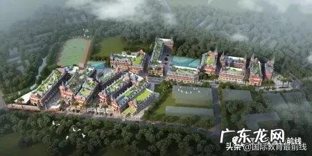 深圳培训机构 深圳培训学校哪家好