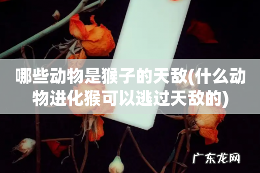 什么动物进化猴可以逃过天敌的 哪些动物是猴子的天敌