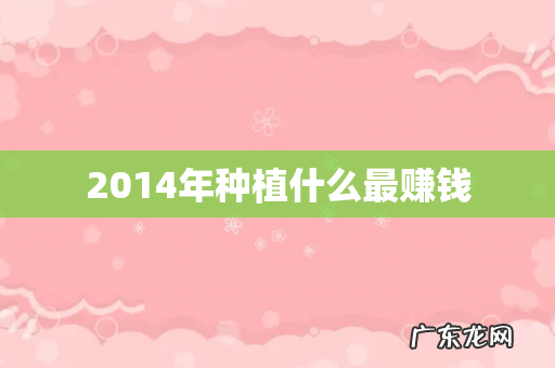 2014年种植什么最赚钱
