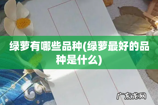 绿萝最好的品种是什么 绿萝有哪些品种