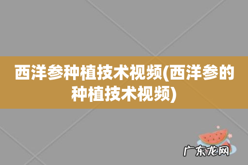 西洋参的种植技术视频 西洋参种植技术视频