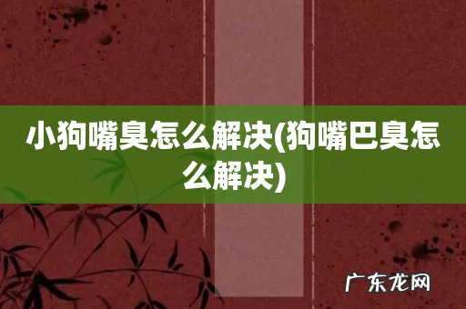 狗嘴巴臭怎么解决 小狗嘴臭怎么解决