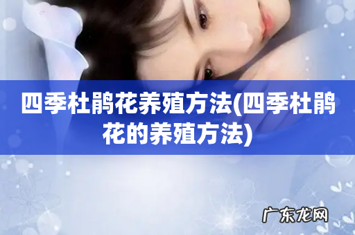 四季杜鹃花的养殖方法 四季杜鹃花养殖方法