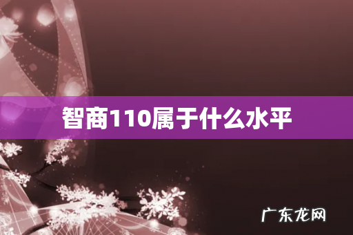 智商110属于什么水平